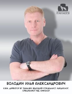 Фото врача Володин Илья Александрович