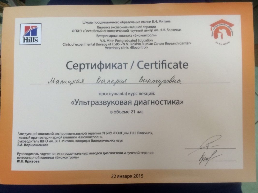 Документ или сертификат