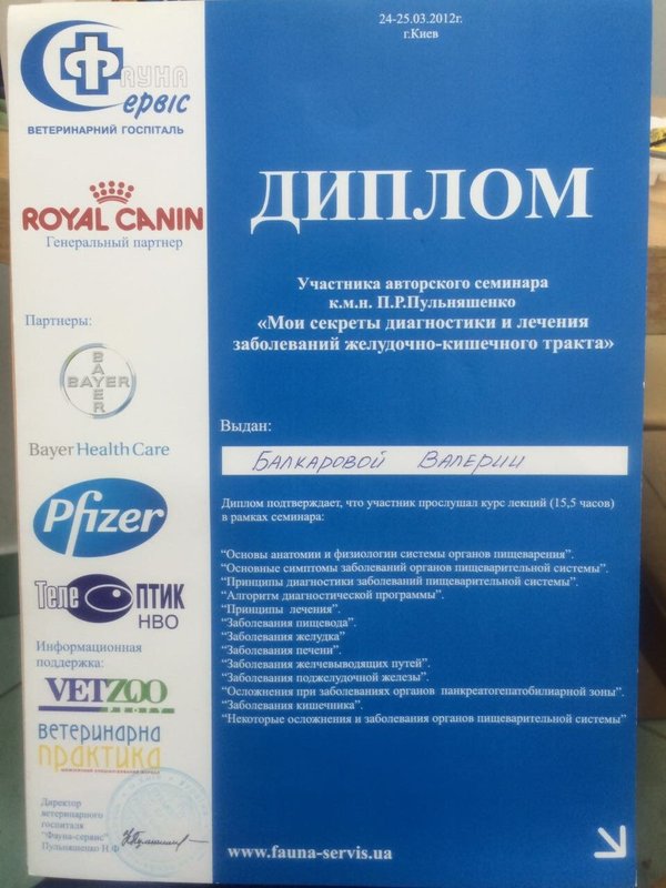 Документ или сертификат