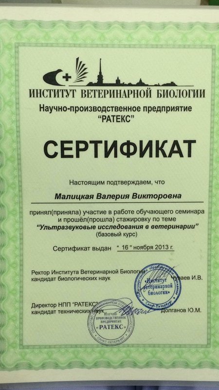 Документ или сертификат