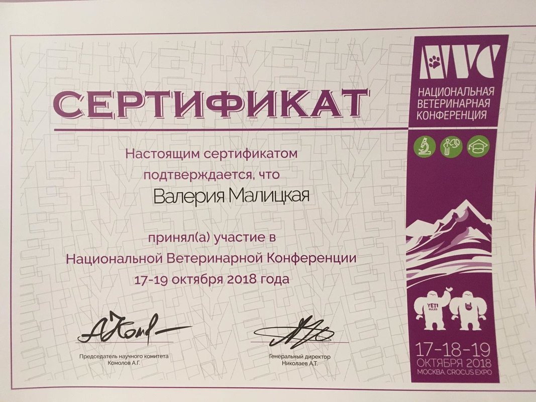 Документ или сертификат
