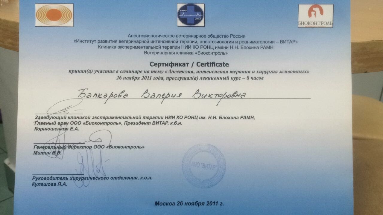 Документ или сертификат