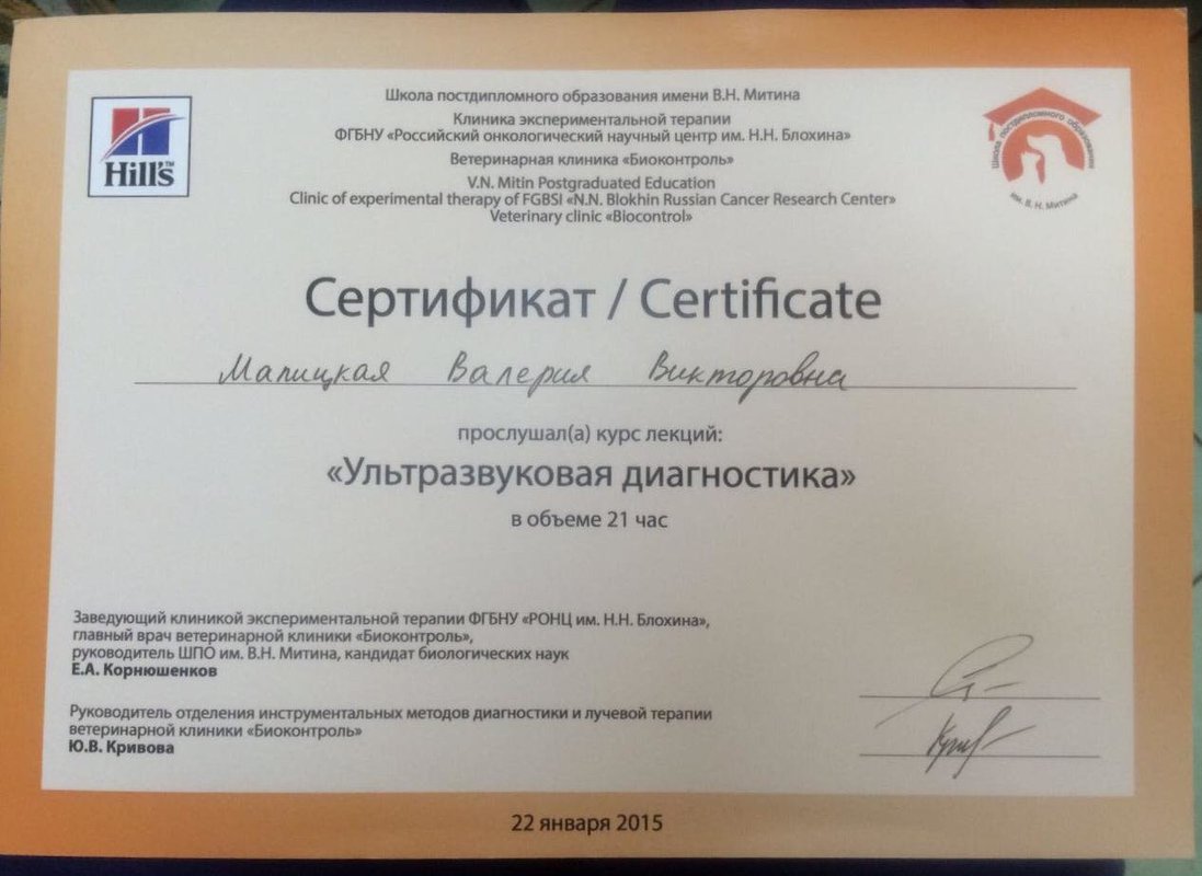 Документ или сертификат