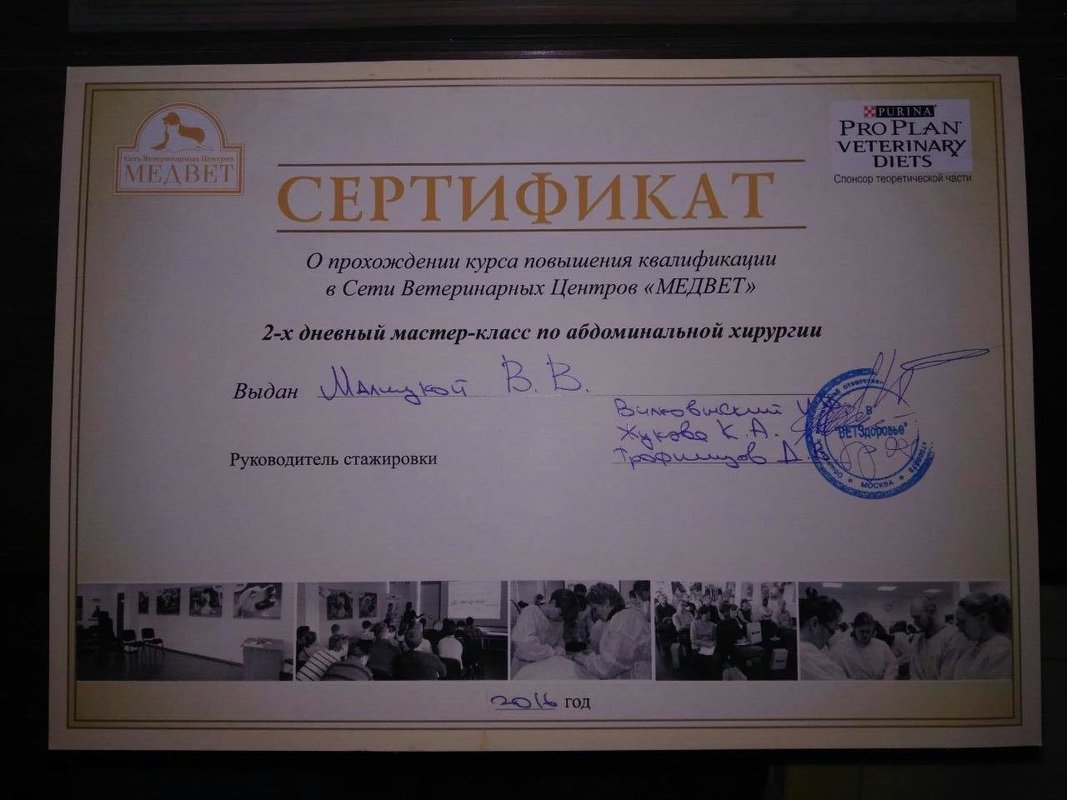 Документ или сертификат