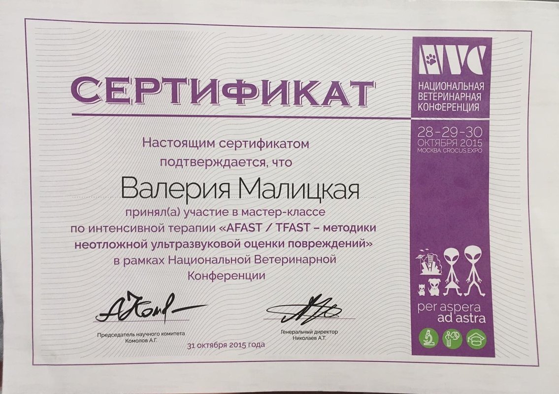 Документ или сертификат