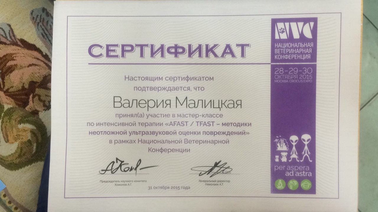 Документ или сертификат