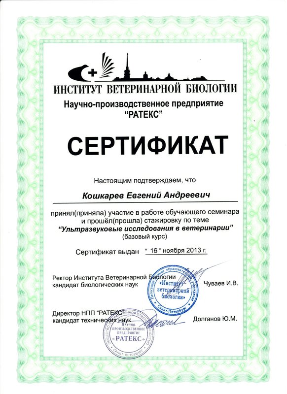 Документ или сертификат