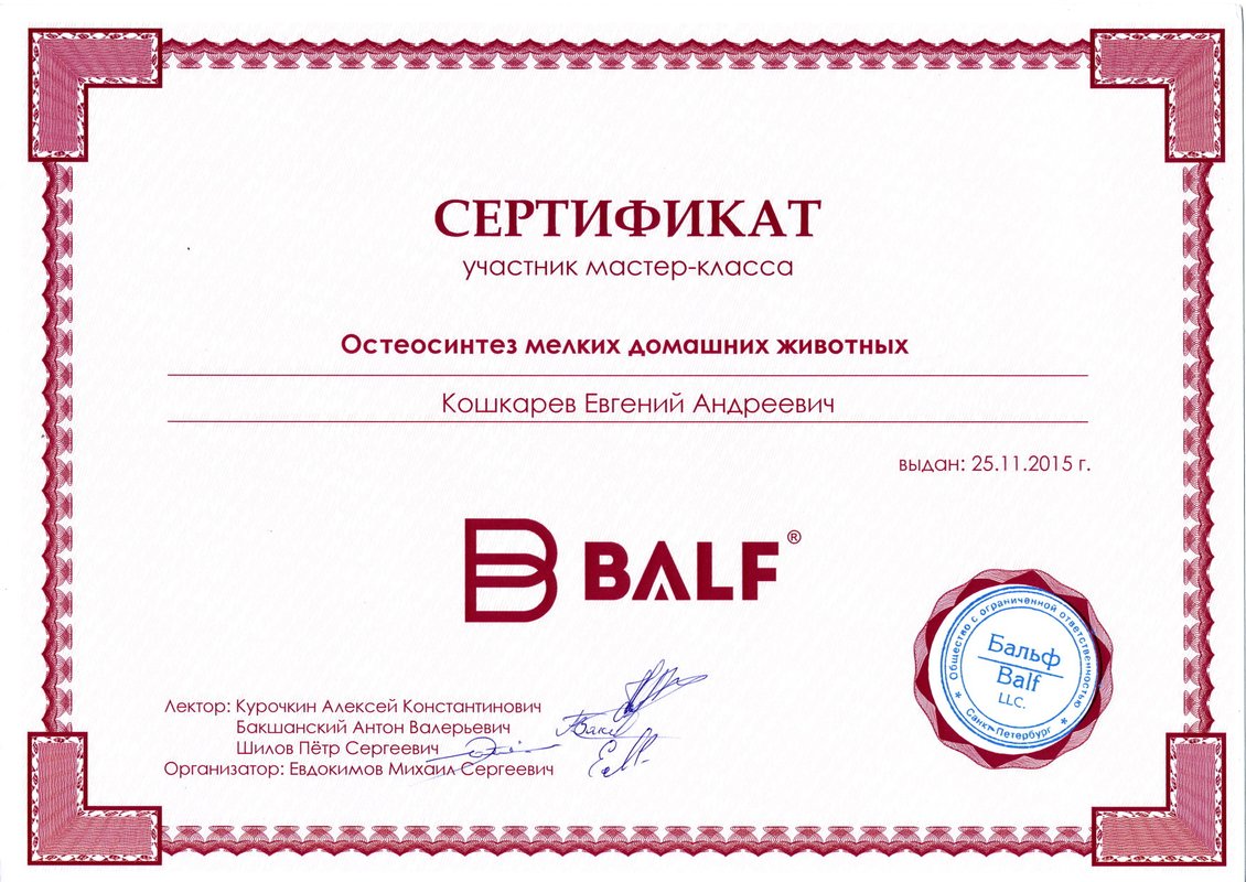 Документ или сертификат
