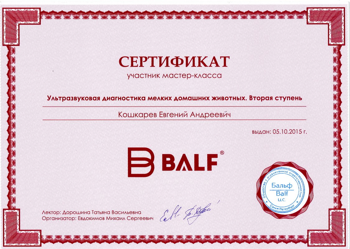Документ или сертификат