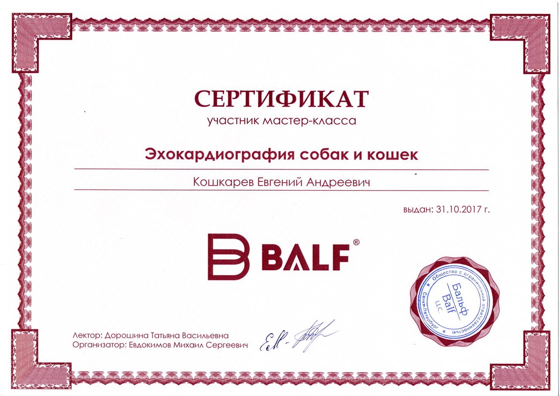 Документ или сертификат