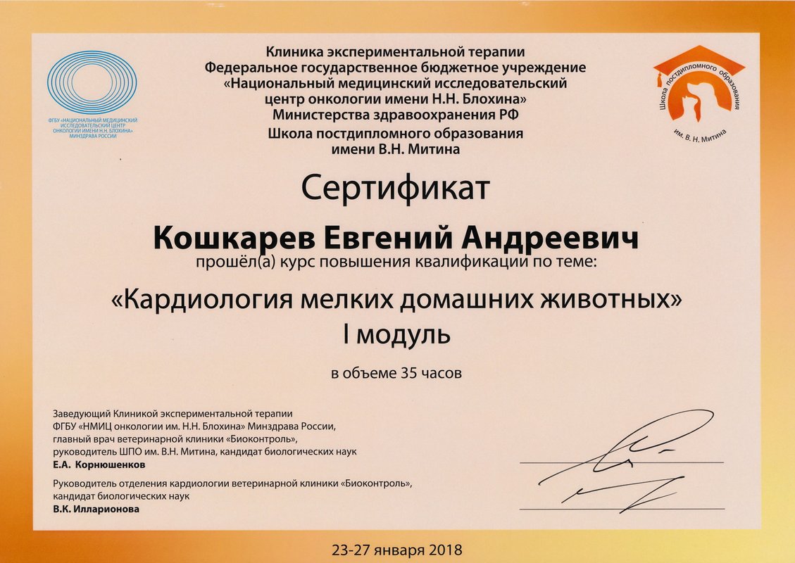 Документ или сертификат