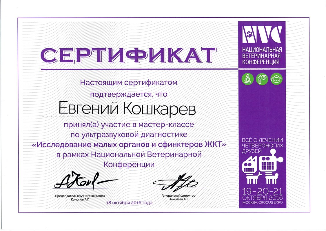 Документ или сертификат