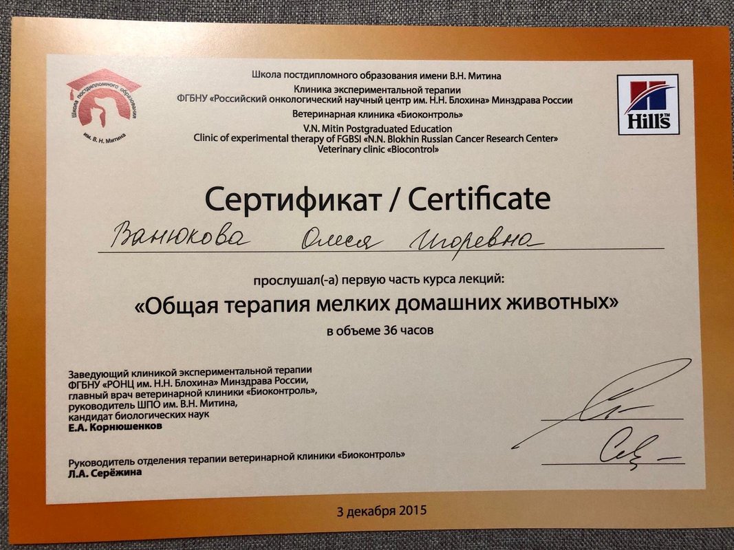 Документ или сертификат
