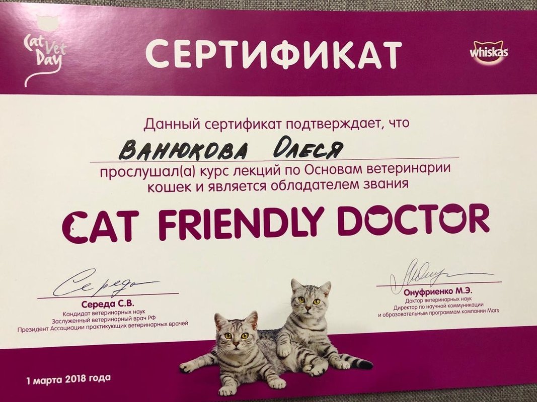 Документ или сертификат