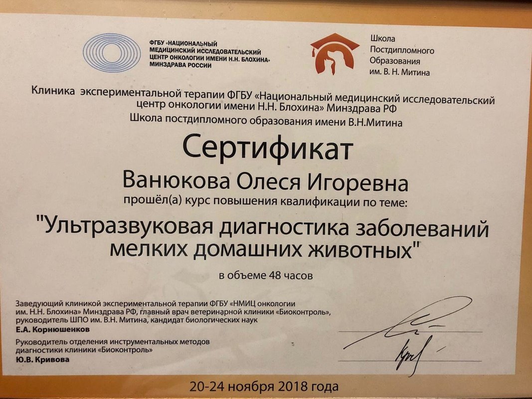 Документ или сертификат