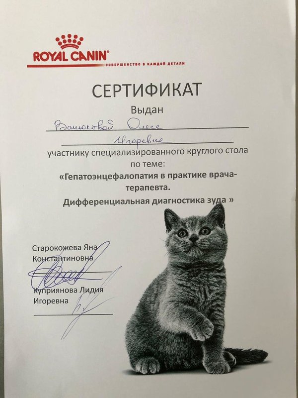 Документ или сертификат
