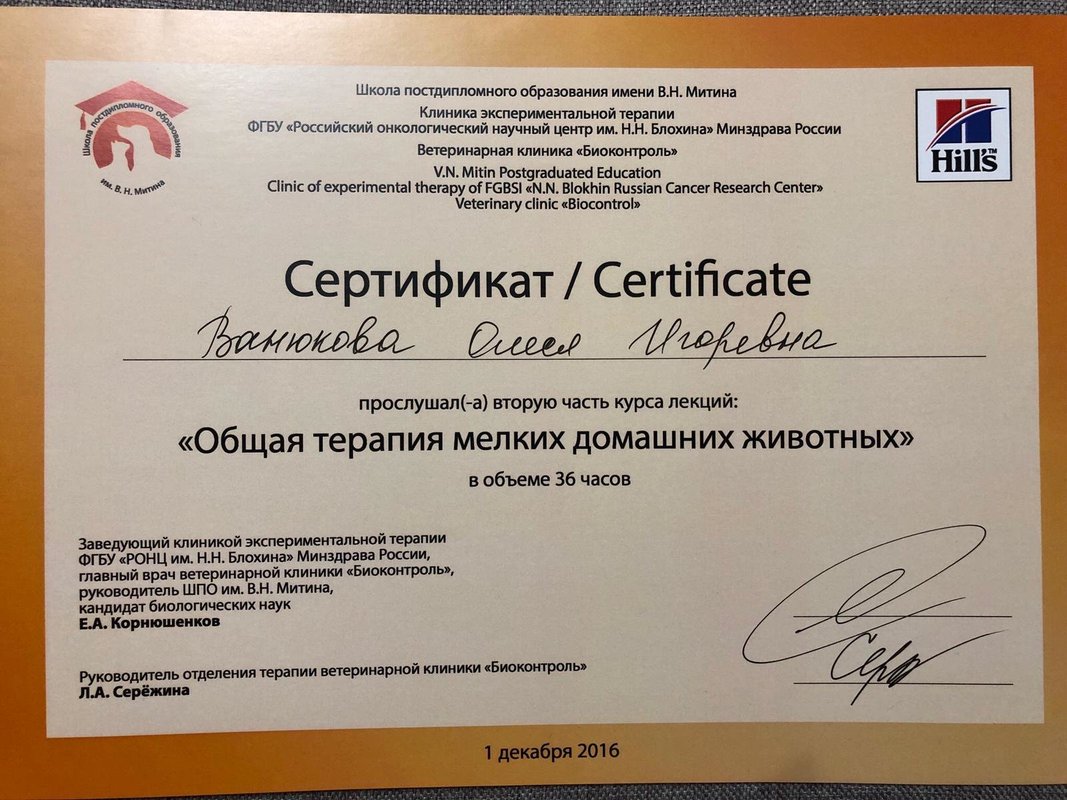 Документ или сертификат