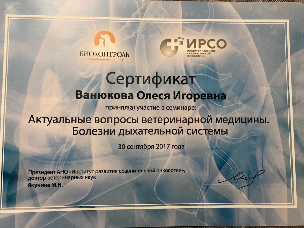 Документ или сертификат
