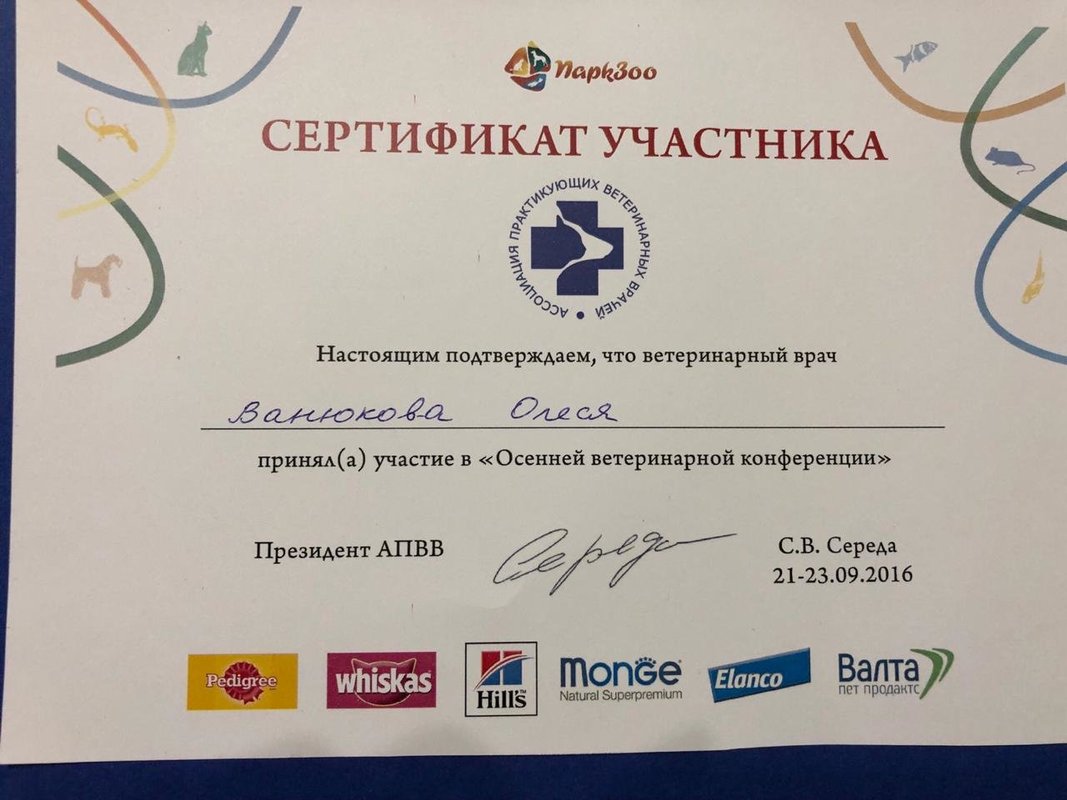 Документ или сертификат
