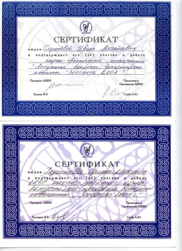 Документ или сертификат
