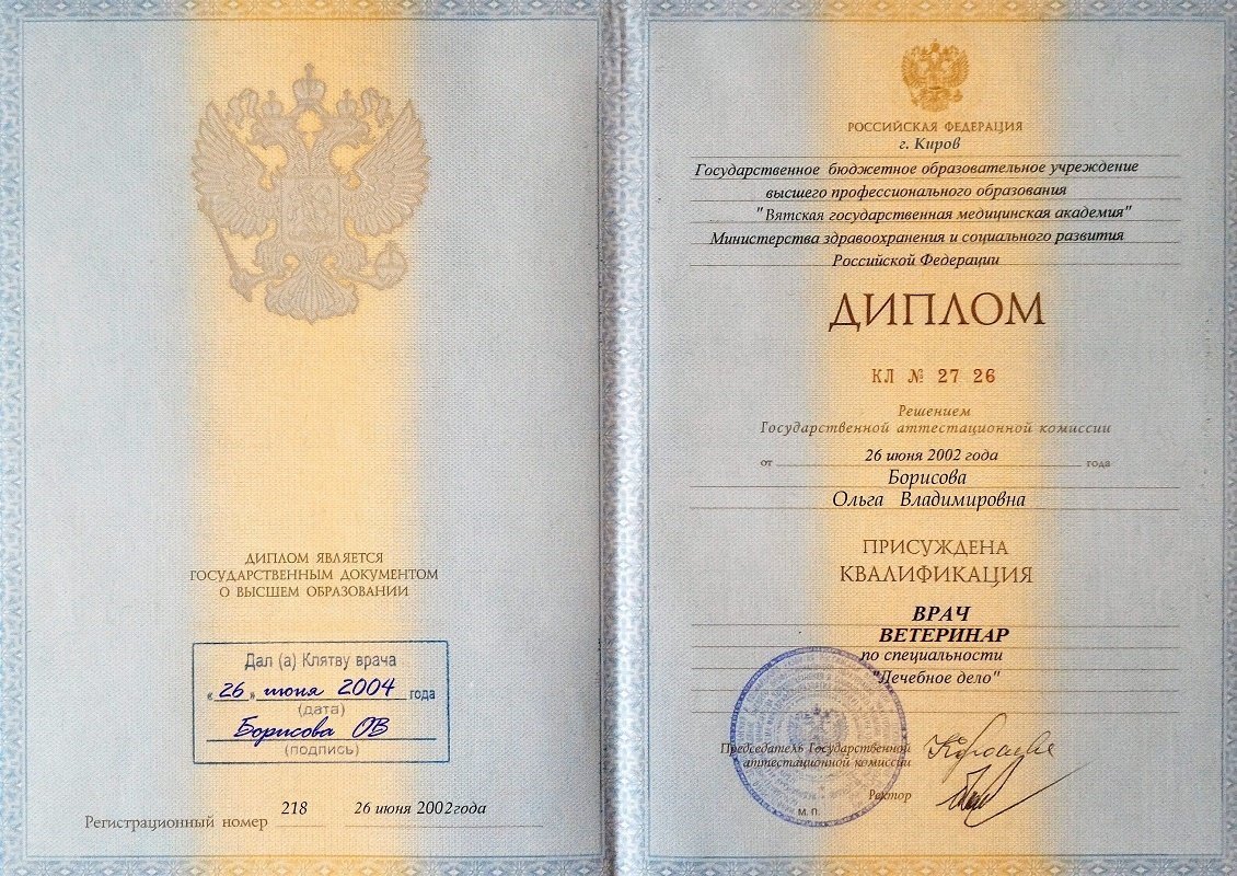 Документ или сертификат