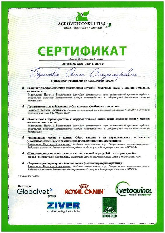 Документ или сертификат