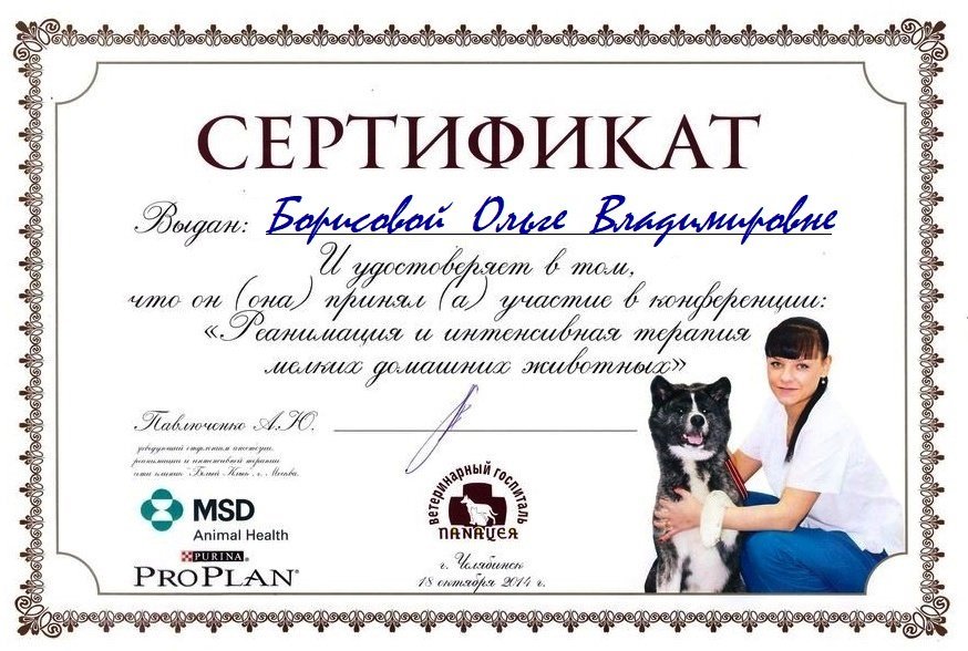 Документ или сертификат