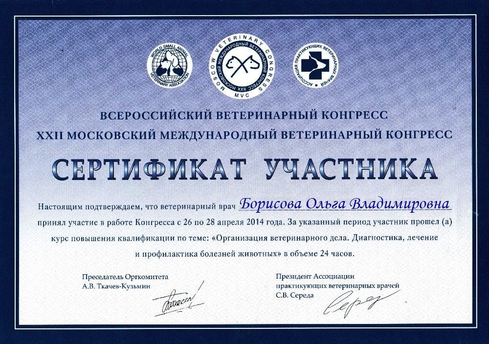 Документ или сертификат