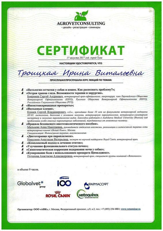 Документ или сертификат