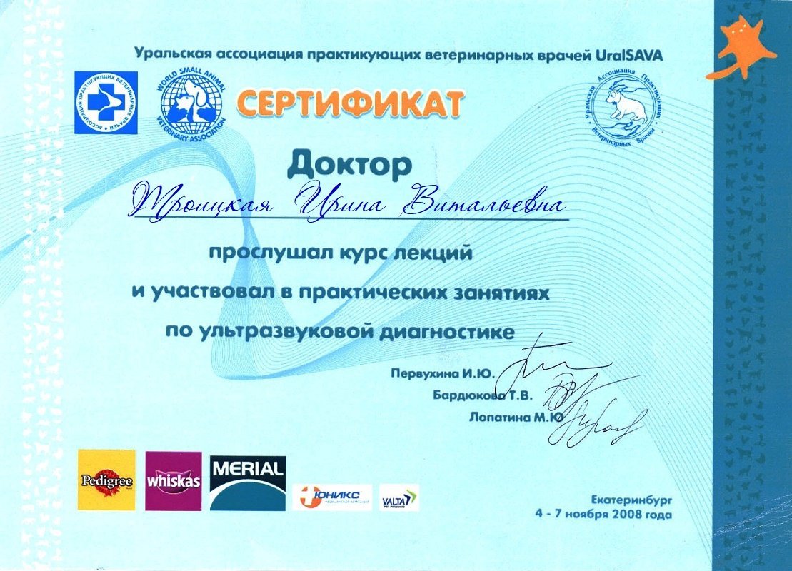 Документ или сертификат
