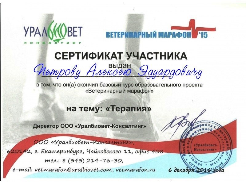 Документ или сертификат