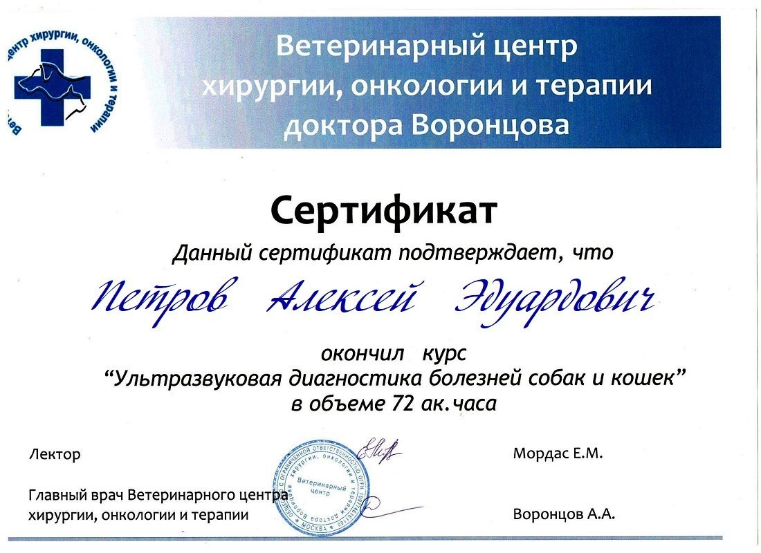 Документ или сертификат