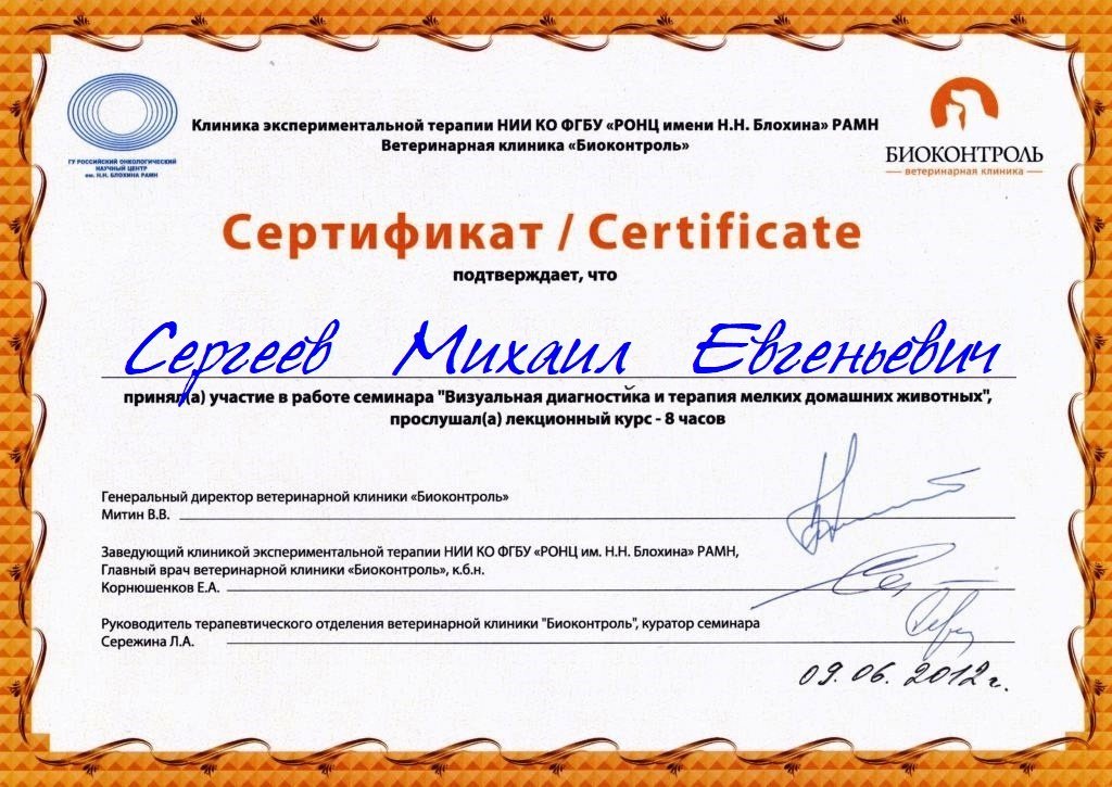 Документ или сертификат