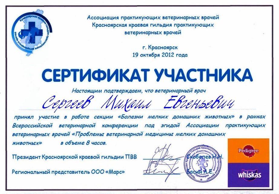 Документ или сертификат
