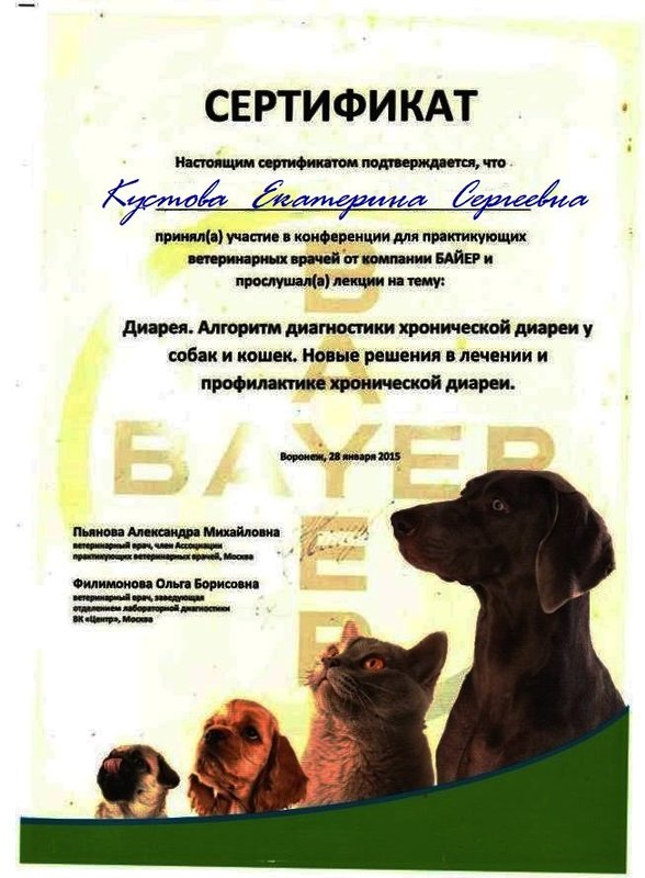 Документ или сертификат