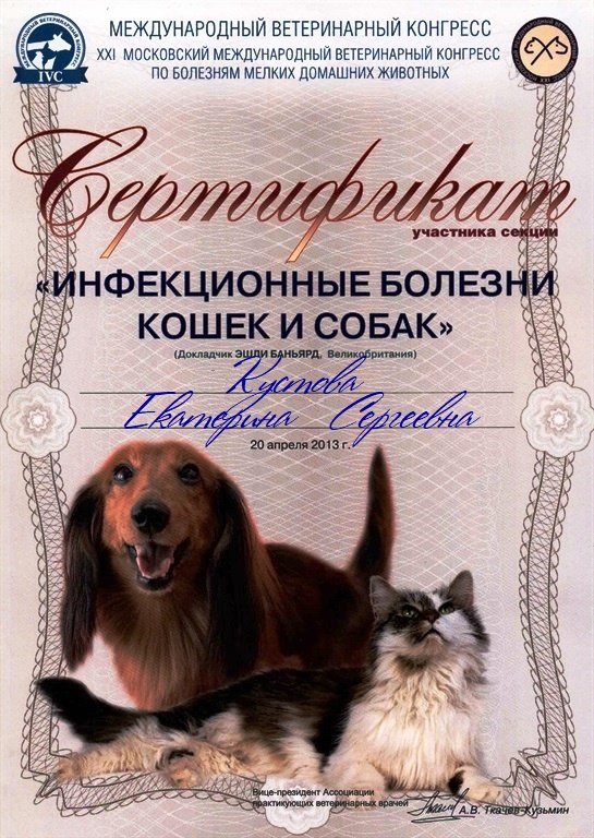 Документ или сертификат