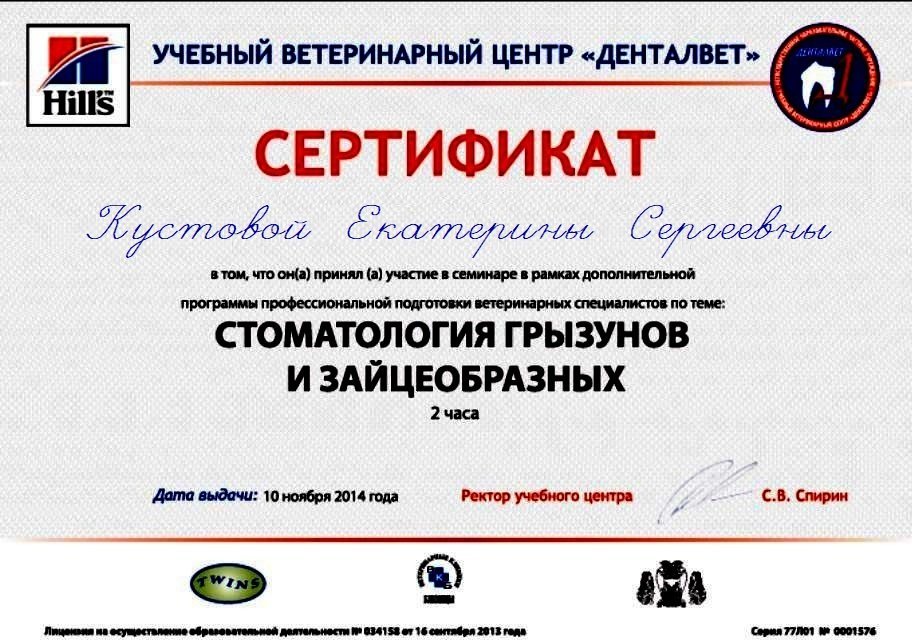 Документ или сертификат