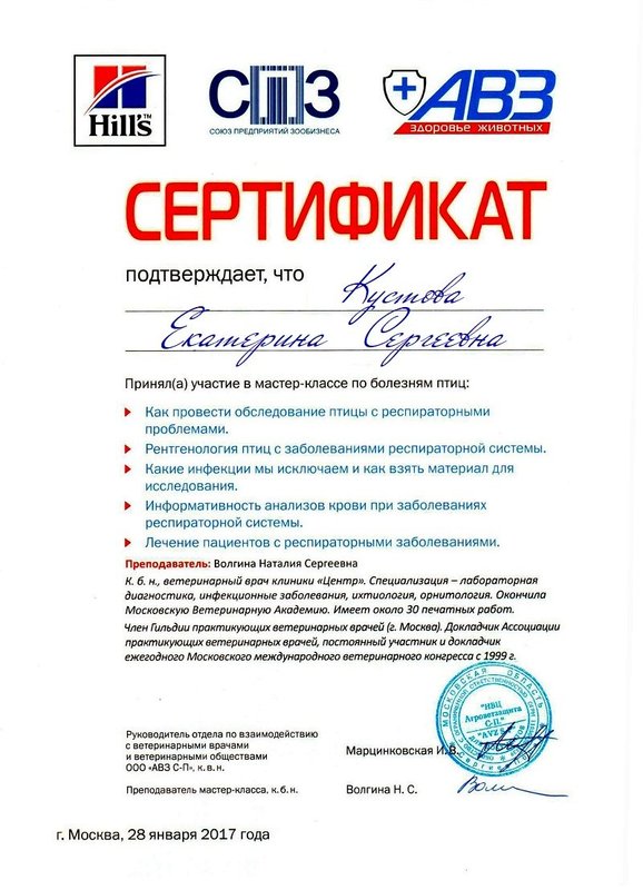 Документ или сертификат