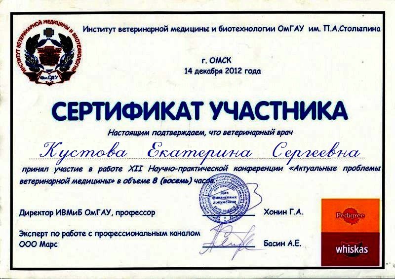 Документ или сертификат