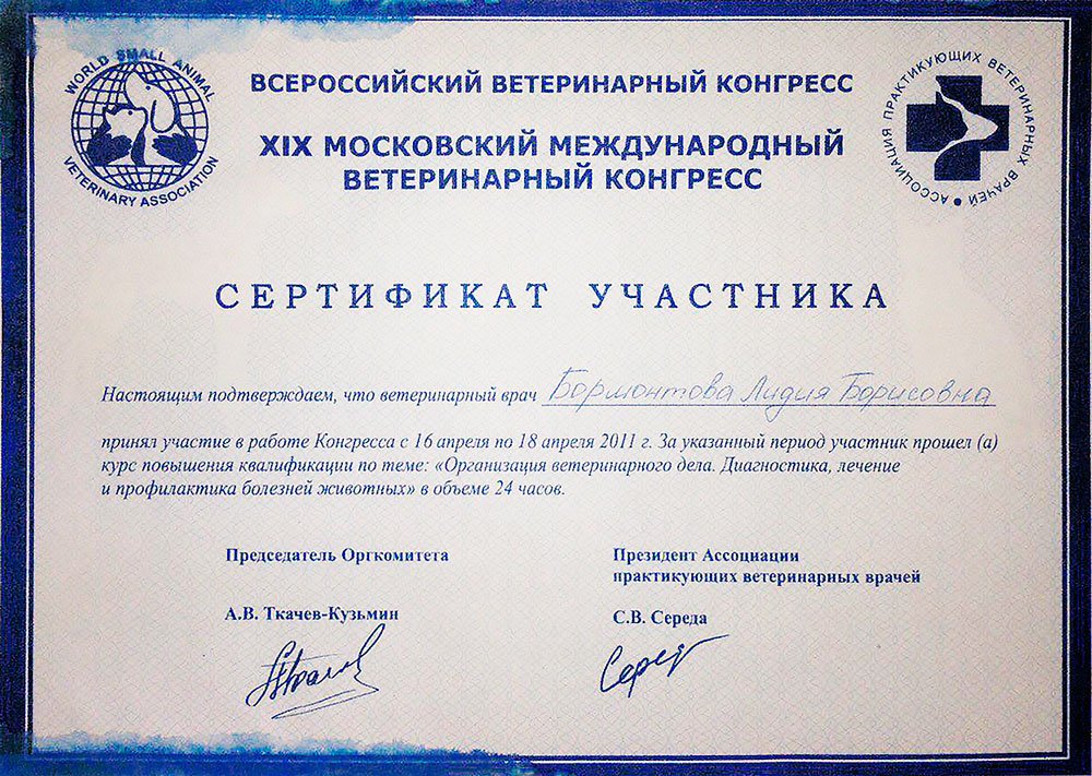 Документ или сертификат