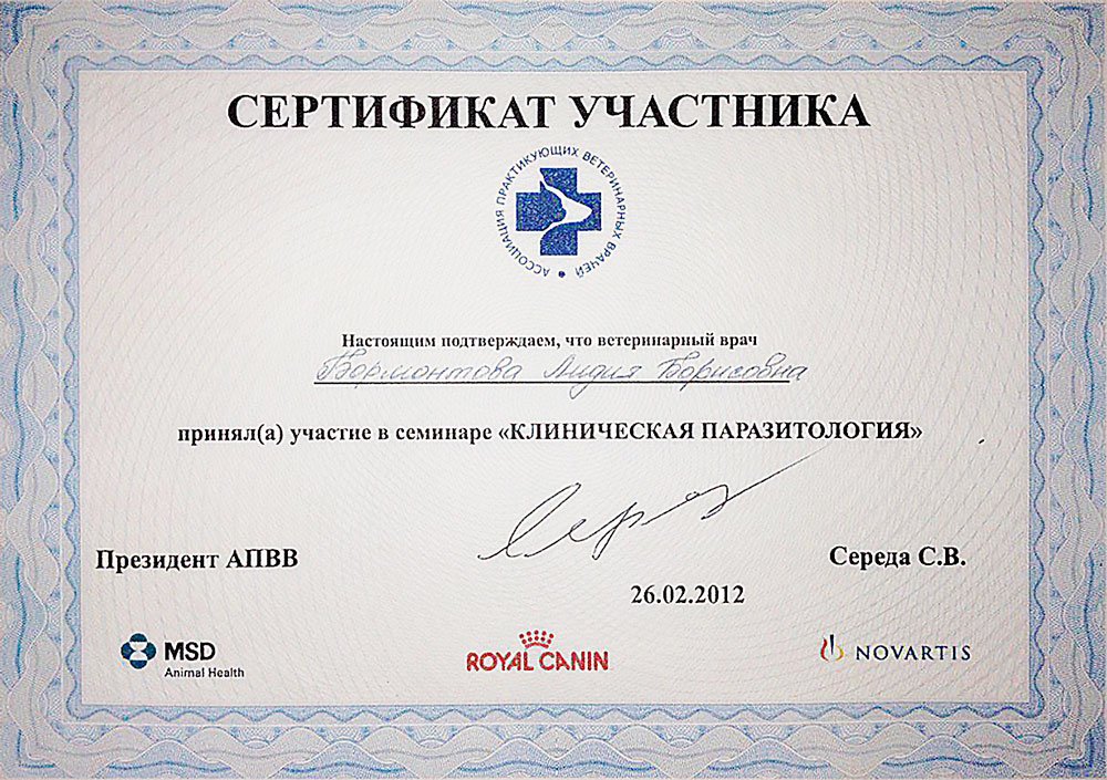 Документ или сертификат