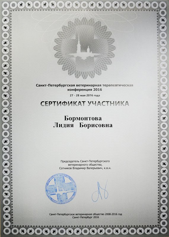 Документ или сертификат
