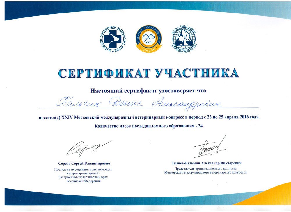 Документ или сертификат