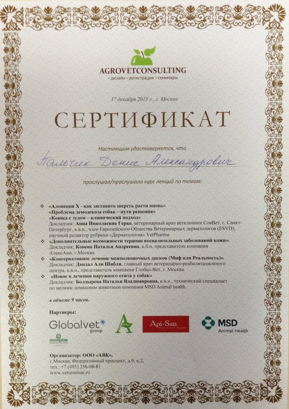 Документ или сертификат