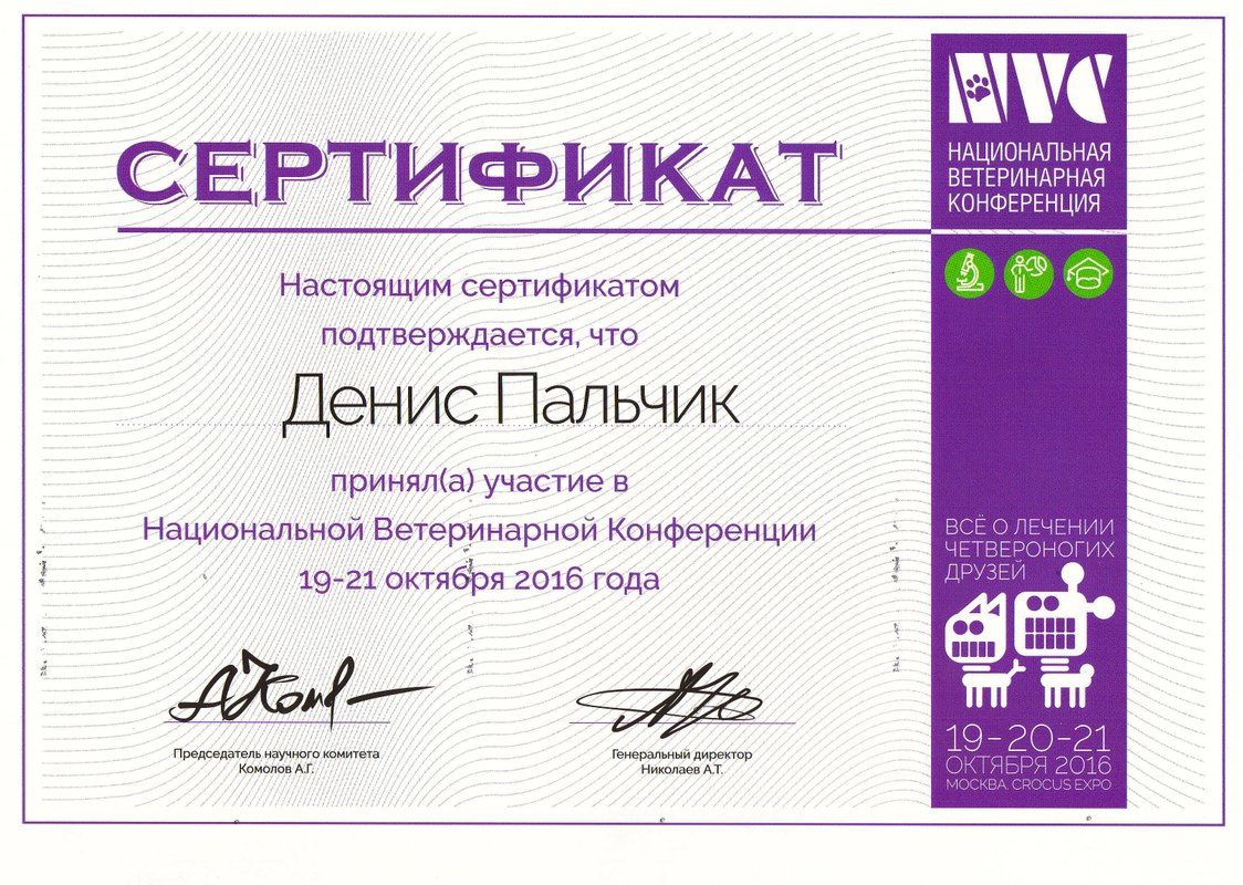 Документ или сертификат