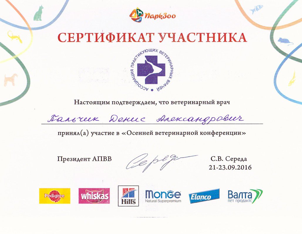 Документ или сертификат