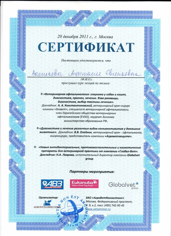 Документ или сертификат