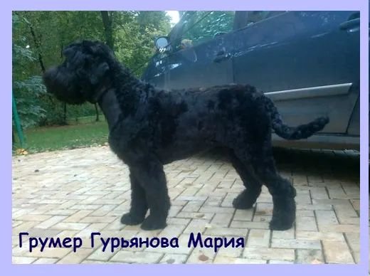 Фото врача