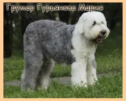 Фото врача