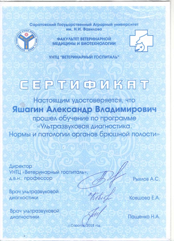 Документ или сертификат
